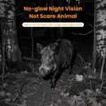 THEIA WEBSITE ÜRÜN GÖRSEL