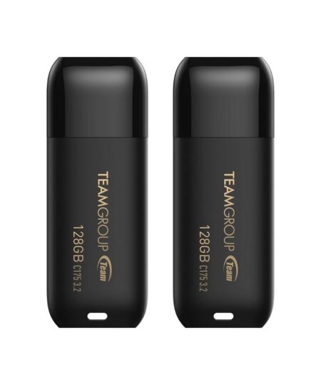 TEAMGROUP C175 128GB 2 Pack USB 3.2 Gen 1 (USB 3.1/3.0) Read 100MB/s Flash Thumb Drive
